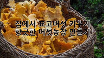 집에서 표고버섯 키우기: 향긋한 버섯농장 만들기